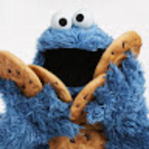 Meet your Posher, Noor